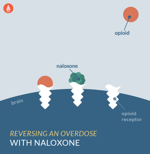 graph of naloxone blocking opioids